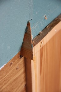 20110227_vegg2 We'll have to figure out a way of sawing off the end of this moulding, it continues through the wall into the bedroom.